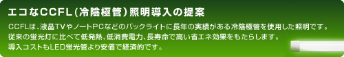 �G�R��CCFL�i��A�Ɋǁj�Ɩ������̒��